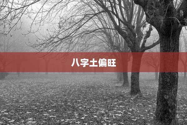 八字土偏旺