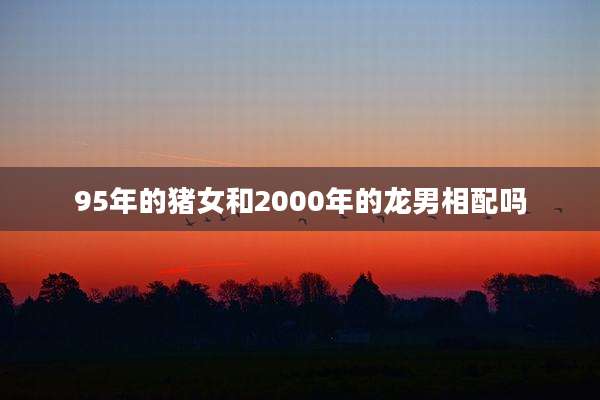 95年的猪女和2000年的龙男相配吗