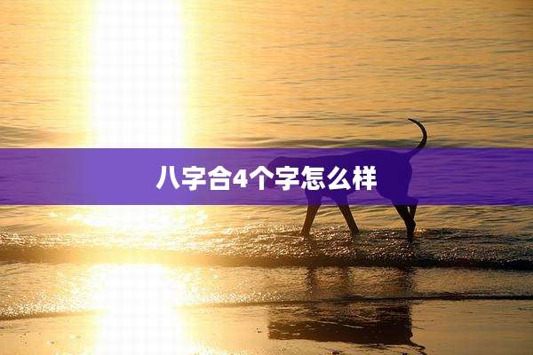 八字合4个字怎么样