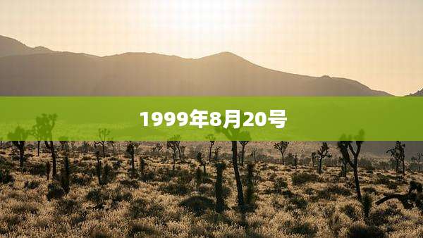 1999年8月20号
