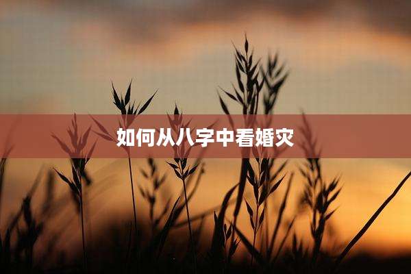 如何从八字中看婚灾