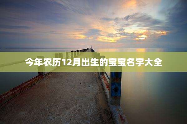 今年农历12月出生的宝宝名字大全