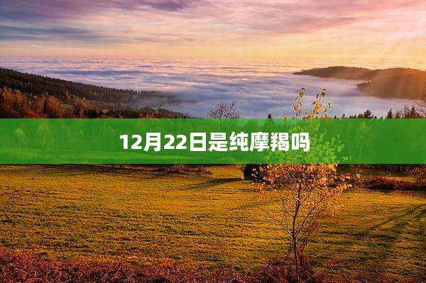 12月22日是纯摩羯吗