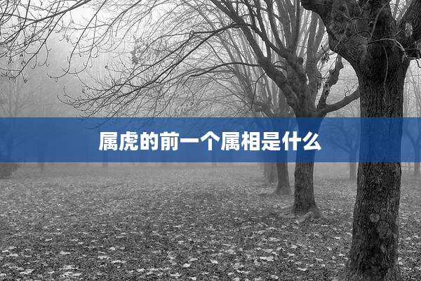 属虎的前一个属相是什么