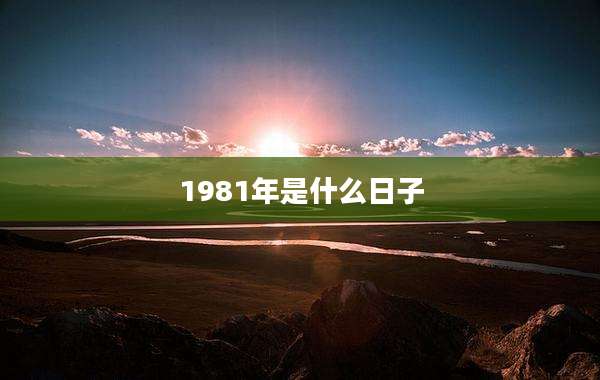 1981年是什么日子
