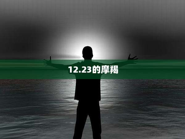 12.23的摩羯