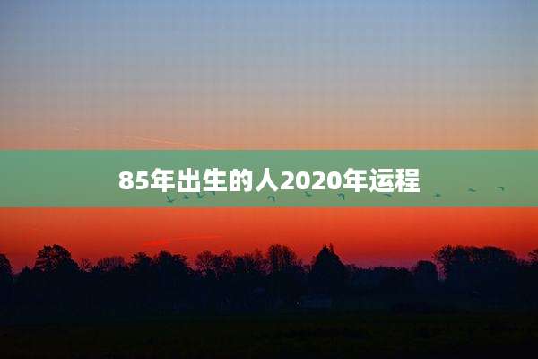 85年出生的人2020年运程