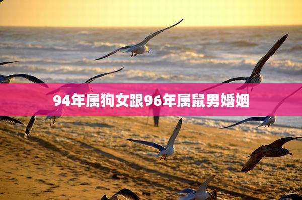 94年属狗女跟96年属鼠男婚姻