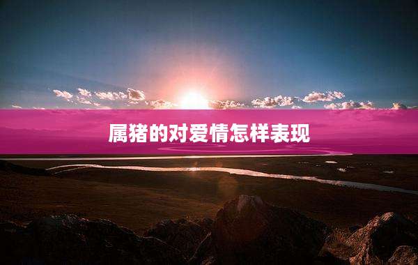 属猪的对爱情怎样表现