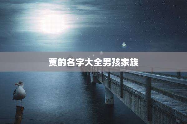 贾的名字大全男孩家族