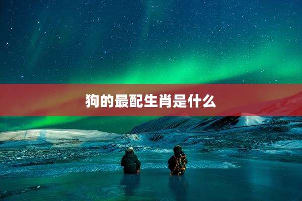 狗的最配生肖是什么