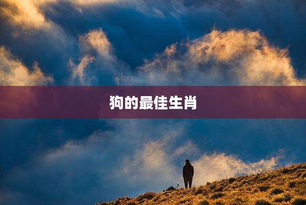 狗的最佳生肖