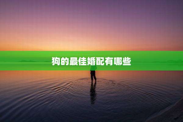 狗的最佳婚配有哪些