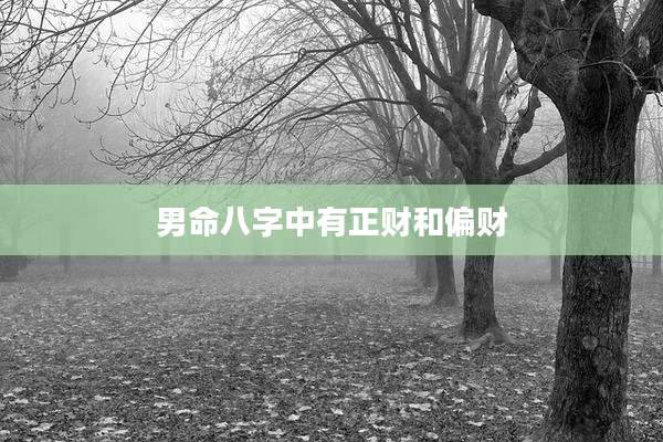 男命八字中有正财和偏财