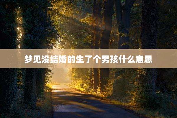 梦见没结婚的生了个男孩什么意思