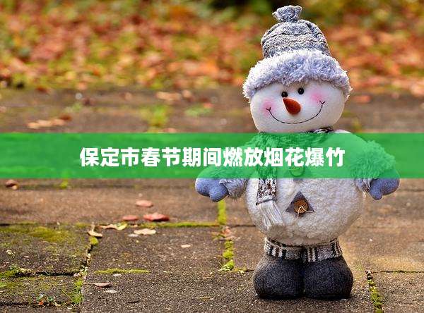 保定市春节期间燃放烟花爆竹