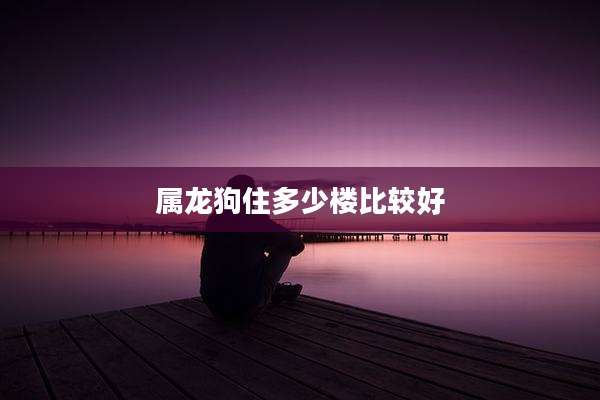 属龙狗住多少楼比较好