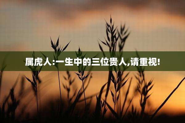 属虎人:一生中的三位贵人,请重视!