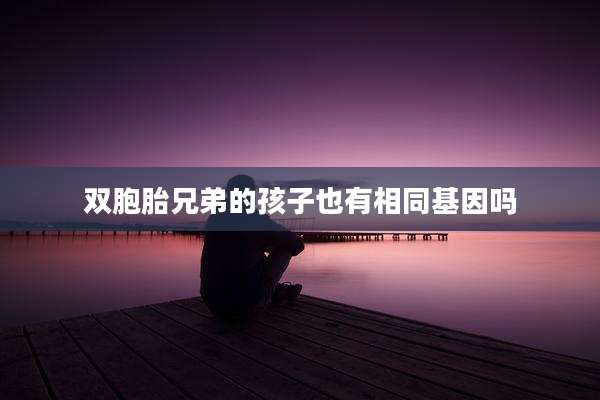 双胞胎兄弟的孩子也有相同基因吗