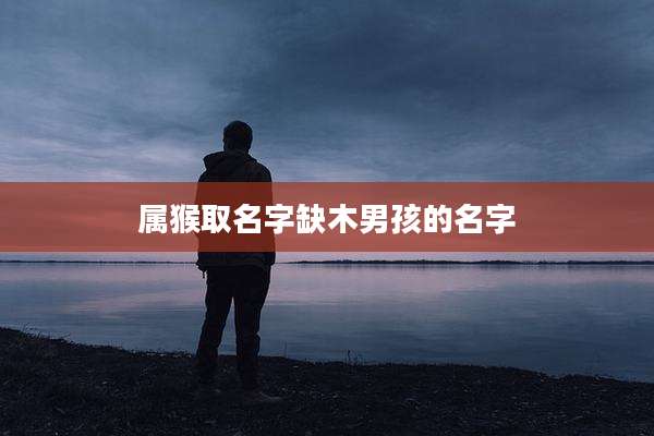 属猴取名字缺木男孩的名字