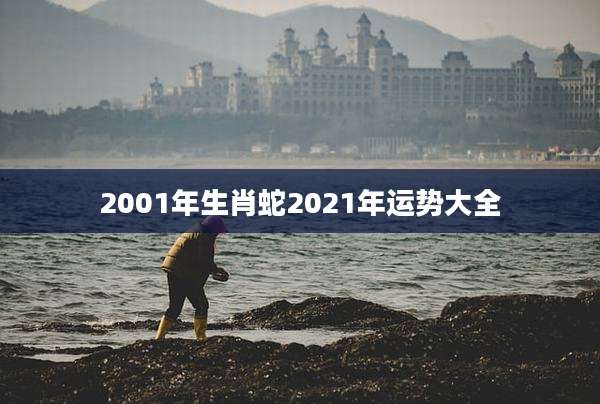 2001年生肖蛇2021年运势大全