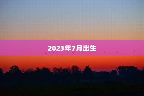 2023年7月出生