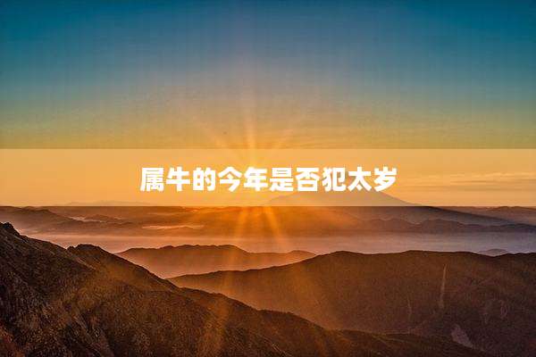 属牛的今年是否犯太岁