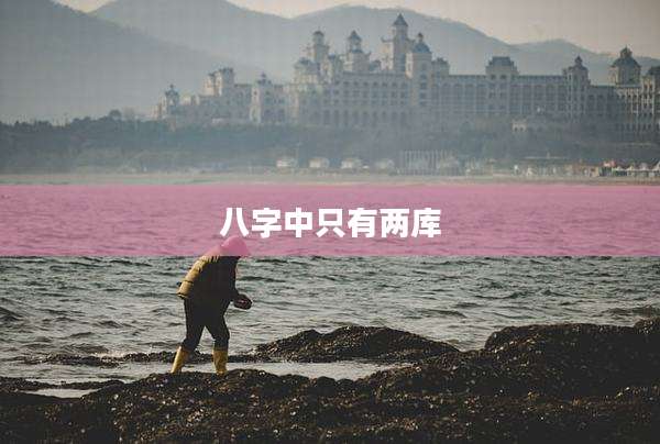 八字中只有两库