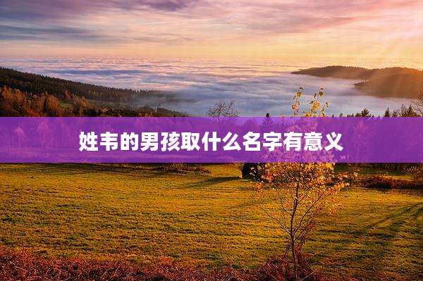 姓韦的男孩取什么名字有意义