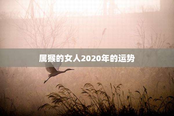 属猴的女人2020年的运势