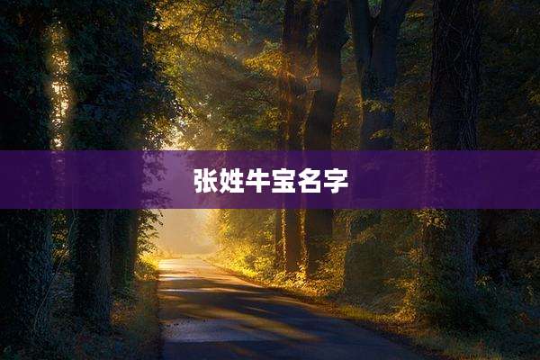 张姓牛宝名字
