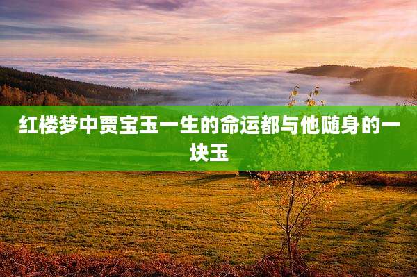 红楼梦中贾宝玉一生的命运都与他随身的一块玉