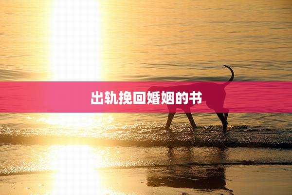 出轨挽回婚姻的书