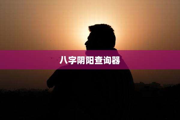 八字阴阳查询器