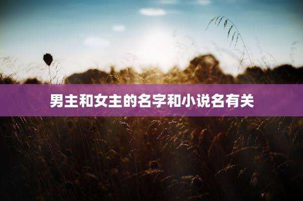 男主和女主的名字和小说名有关