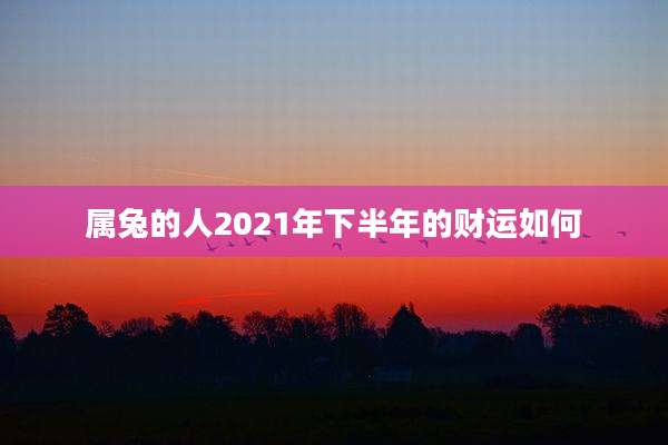 属兔的人2021年下半年的财运如何