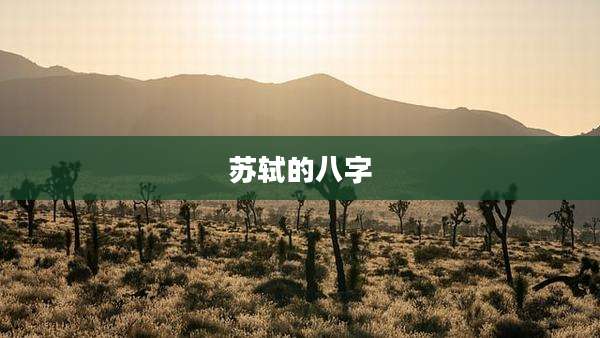 苏轼的八字