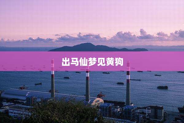 出马仙梦见黄狗