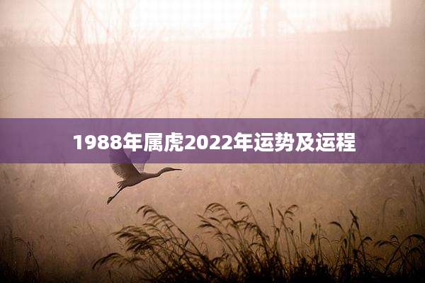 1988年属虎2022年运势及运程
