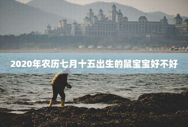 2020年农历七月十五出生的鼠宝宝好不好