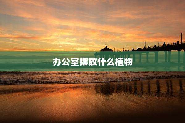 办公室摆放什么植物