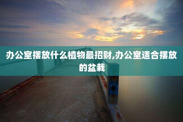 办公室摆放什么植物最招财,办公室适合摆放的盆栽
