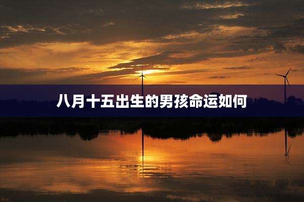 八月十五出生的男孩命运如何