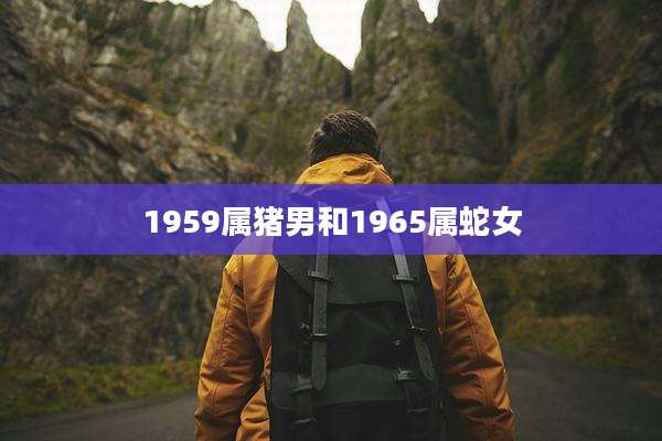 1959属猪男和1965属蛇女