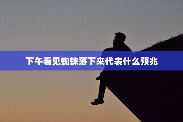 下午看见蜘蛛落下来代表什么预兆