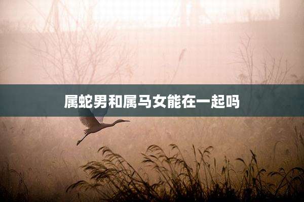 属蛇男和属马女能在一起吗