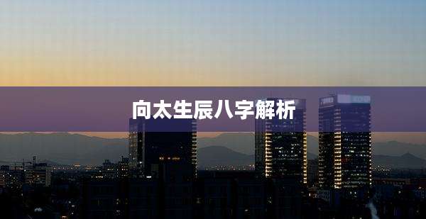 向太生辰八字解析