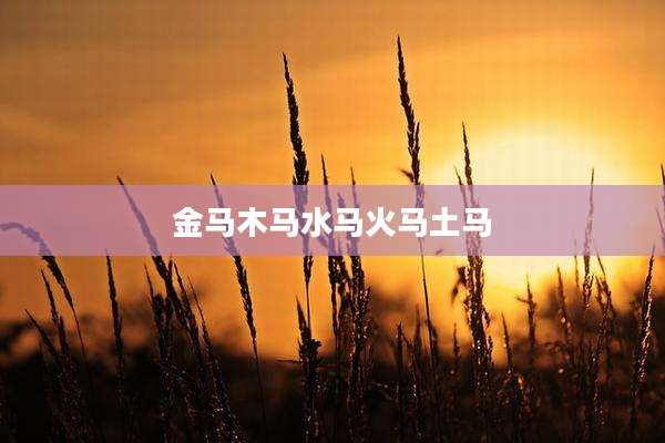金马木马水马火马土马
