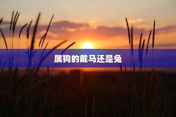 属狗的戴马还是兔