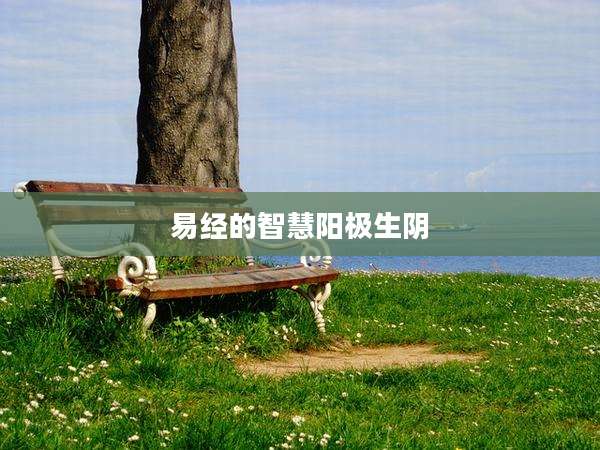 易经的智慧阳极生阴